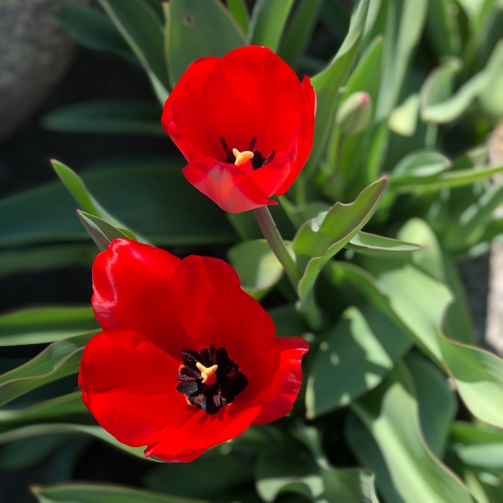 Meet your Posher, Kathleen